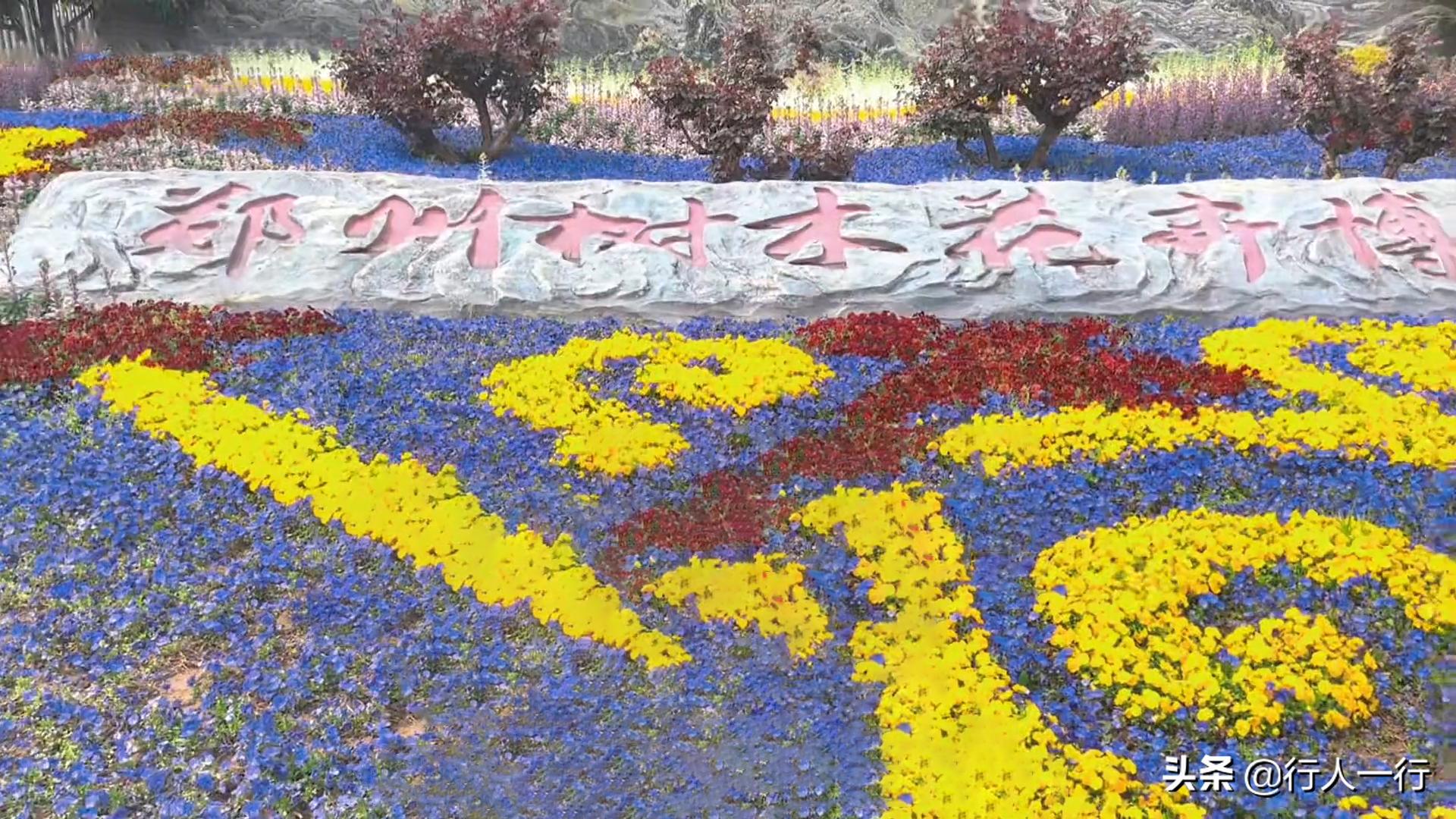 郑州周边夜晚露营地推荐,郑州露营旅游地点推荐