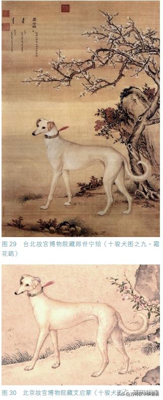 哮天犬和二郎神不得不说的故事,哮天犬二郎神前世今生