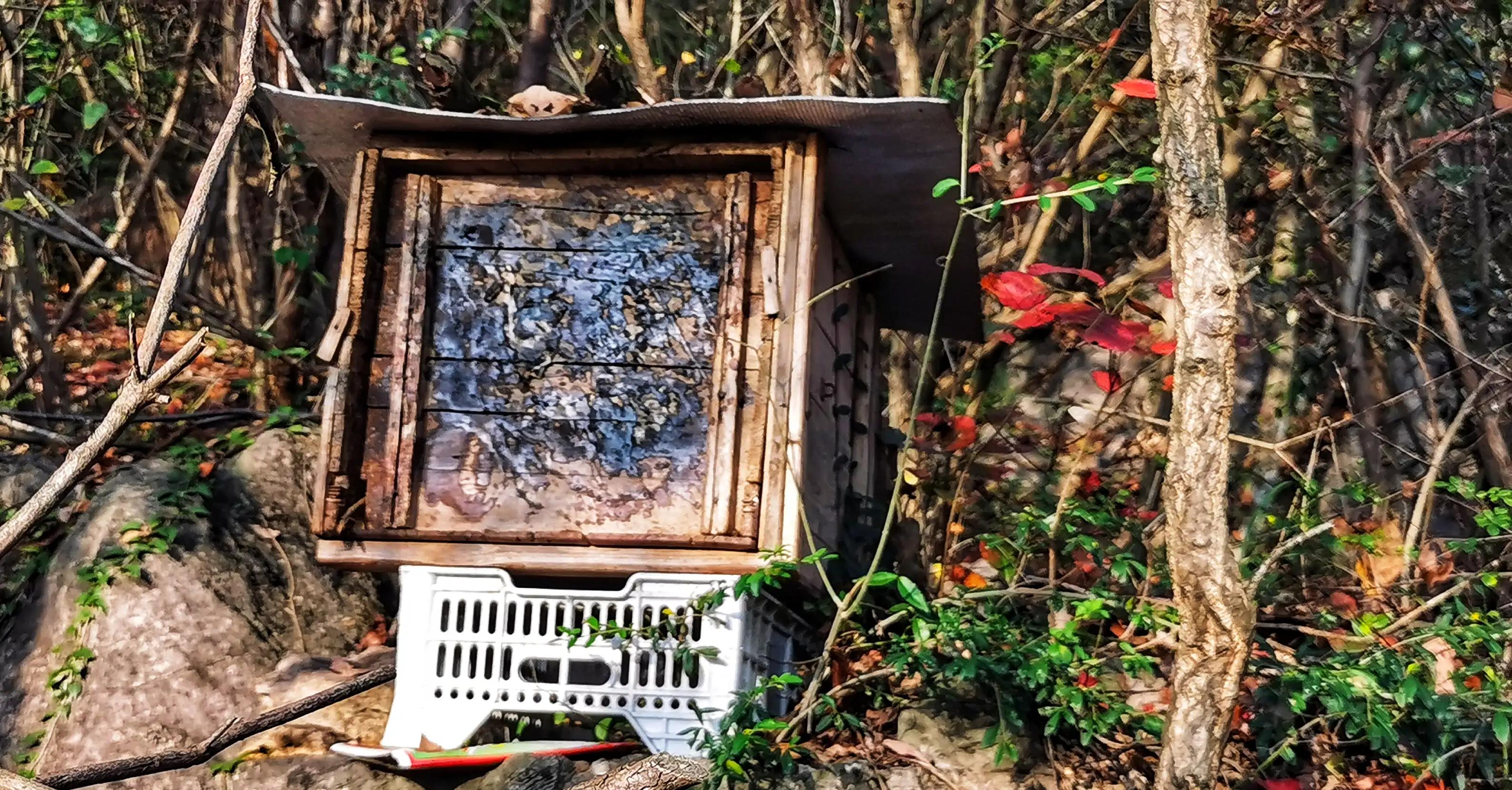 蜜蜂嗡嗡*花采**忙秋风送爽带蜜香，甜蜜事业甜蜜歌，蜜蜂酿蜜乐山乡