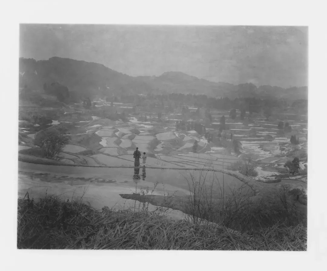 在无情的世界里有情的活着,在无情的世界里有份牵挂