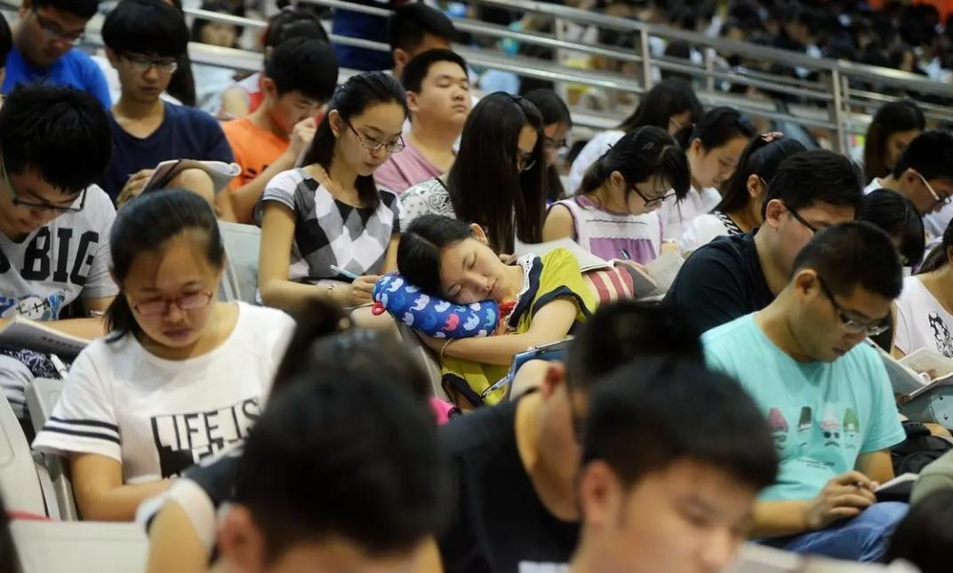 怎么拒绝室友在宿舍养猫,在寝室里养猫室友是一种什么反应