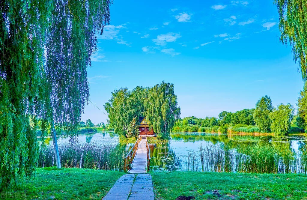 赞美柳树诗句古诗大全,春风杨柳唯美古诗