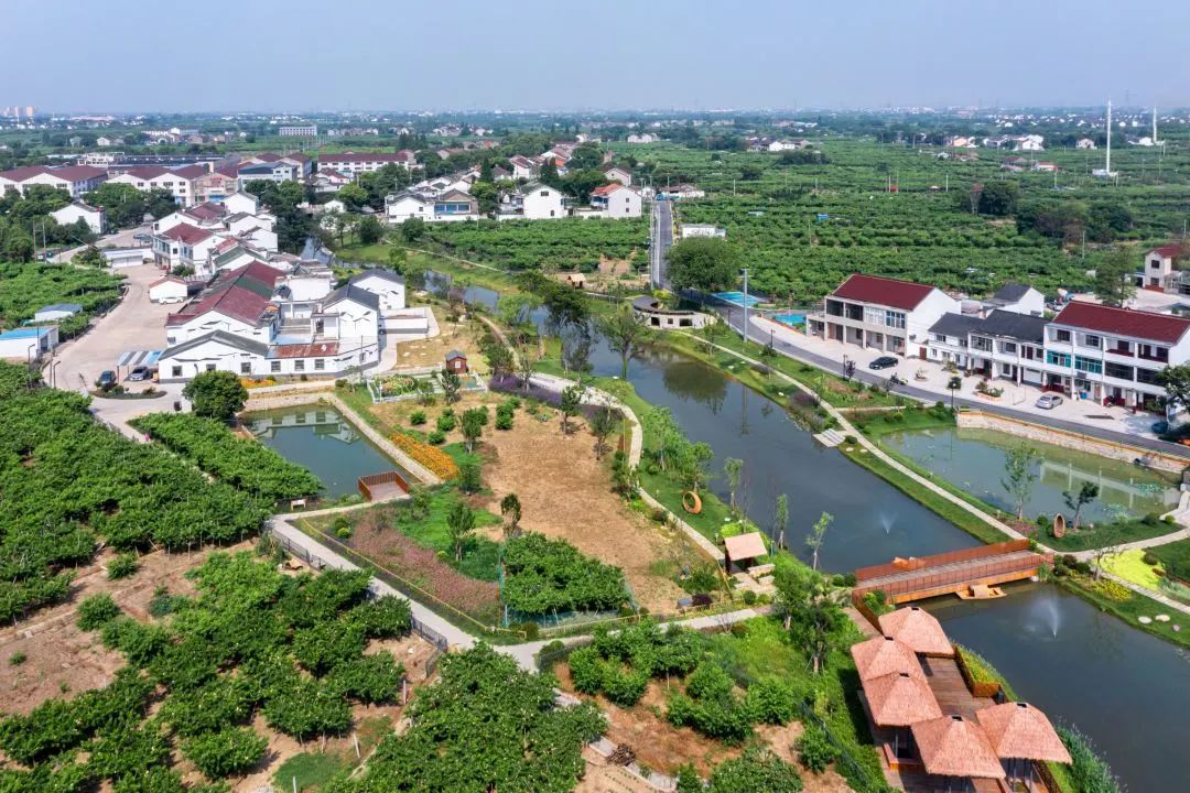 江苏省特色田园乡村名单公布,省级特色田园乡村标准