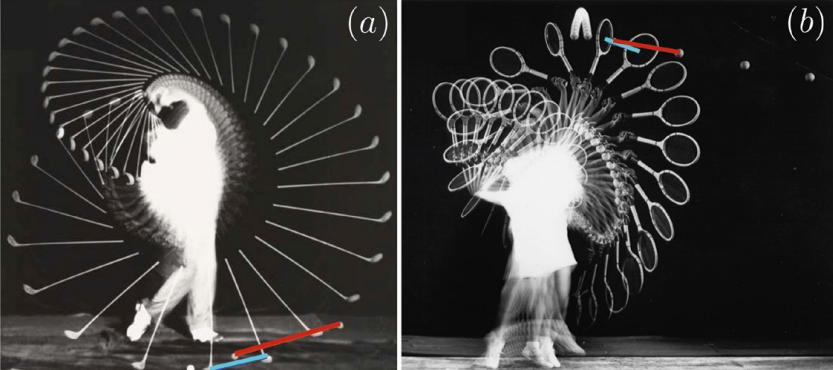 球类运动哪些球最重要,各种球类运动排名