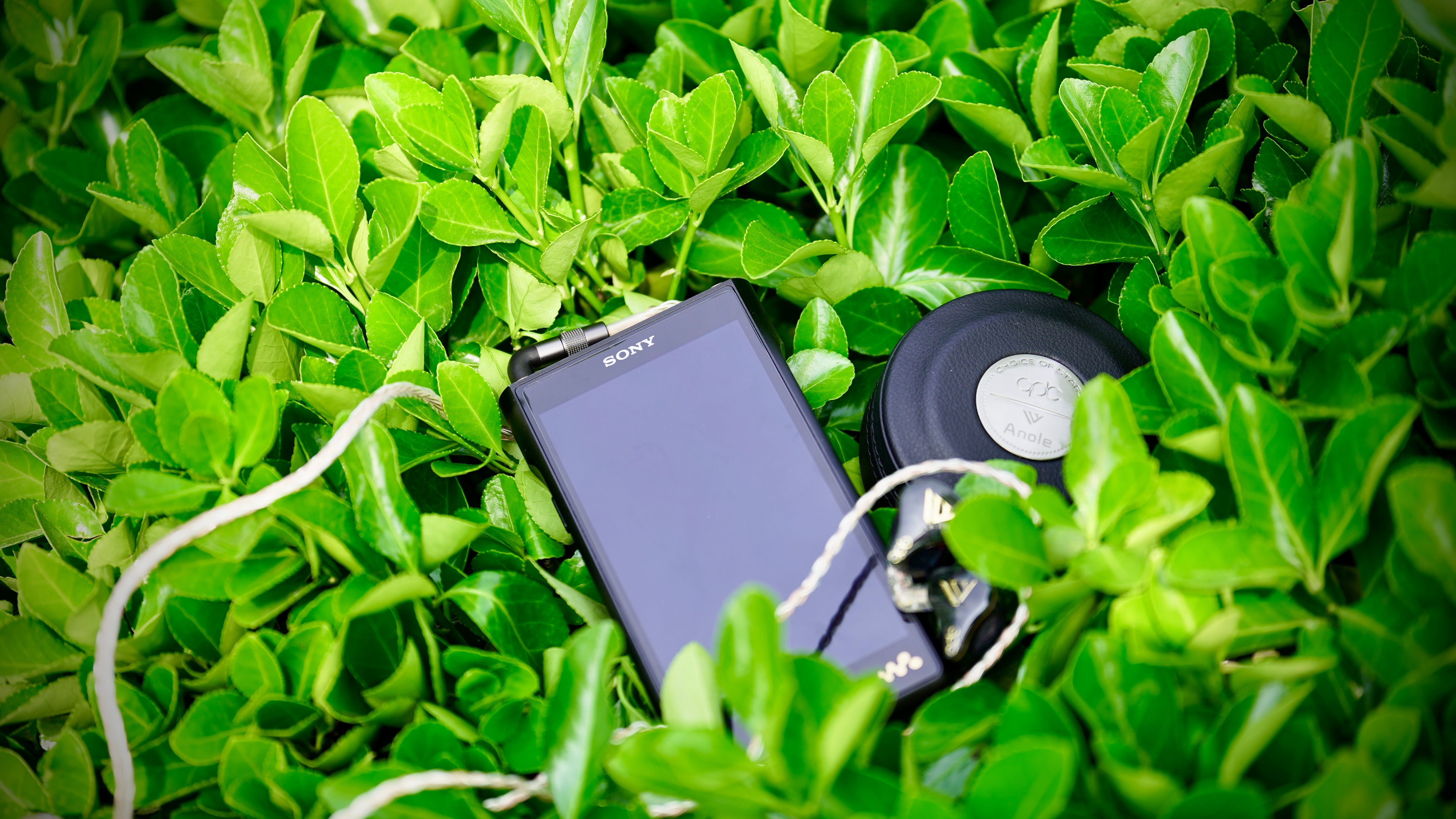 索尼walkmanwm2,索尼wm1zm2使用说明