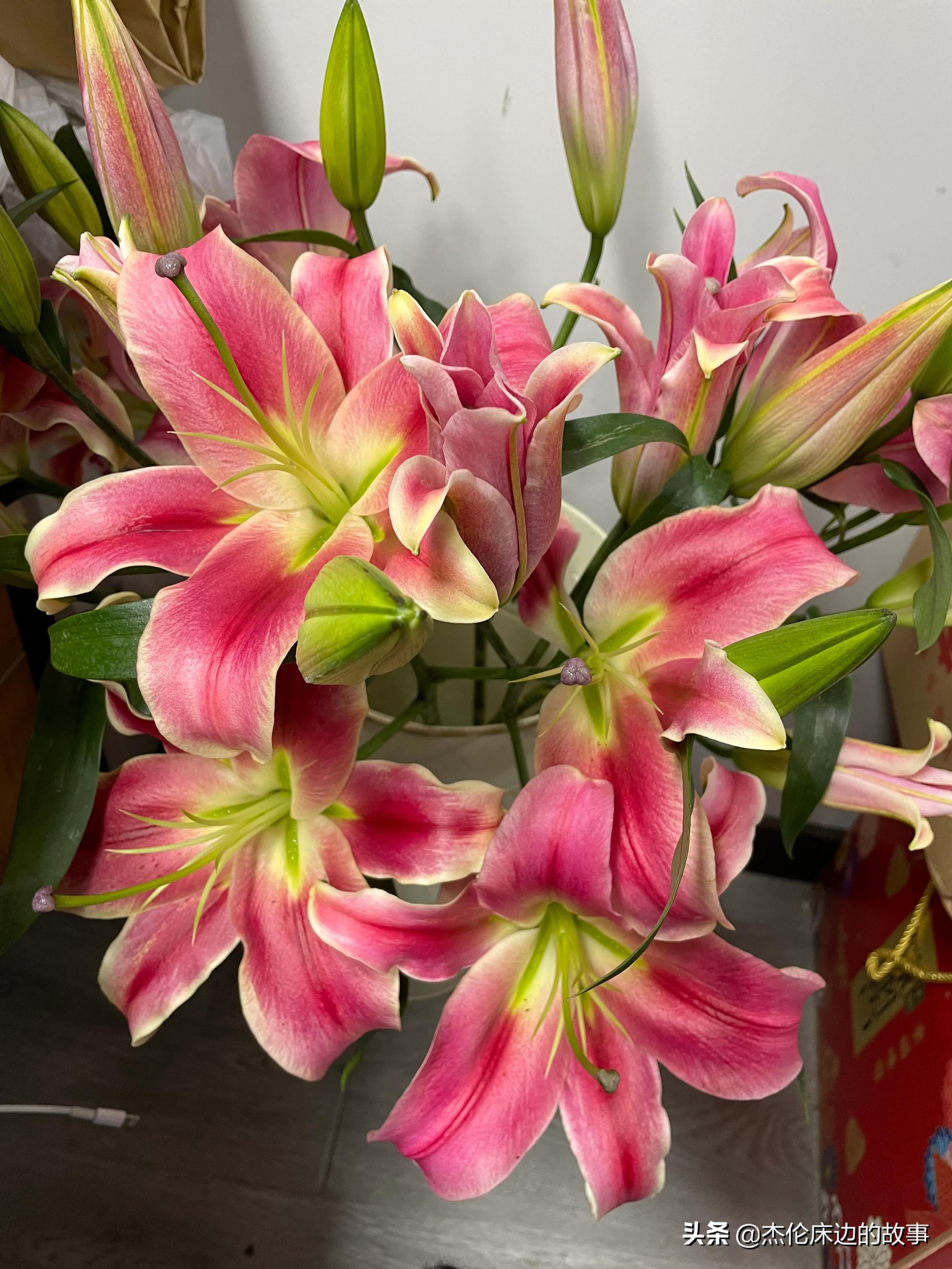 网上鲜切花怎么养护,最耐养的鲜切花