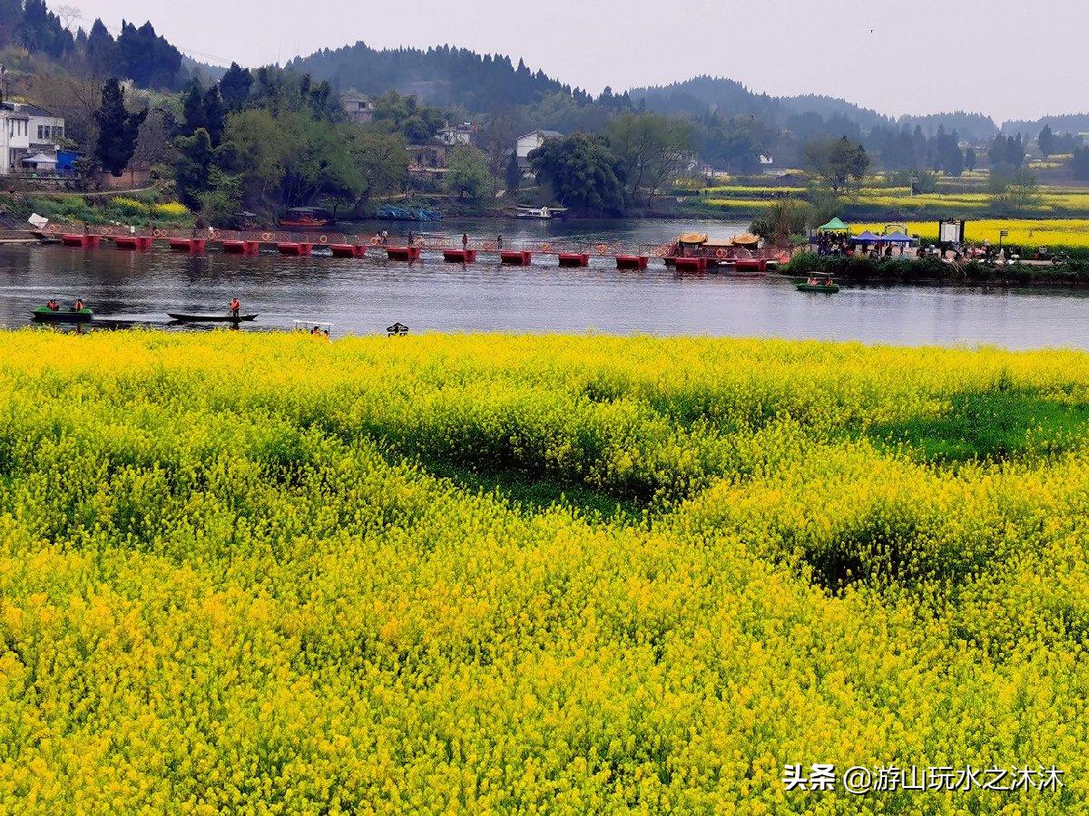 看油菜花的好地旅游攻略,看油菜花哪里最值得去