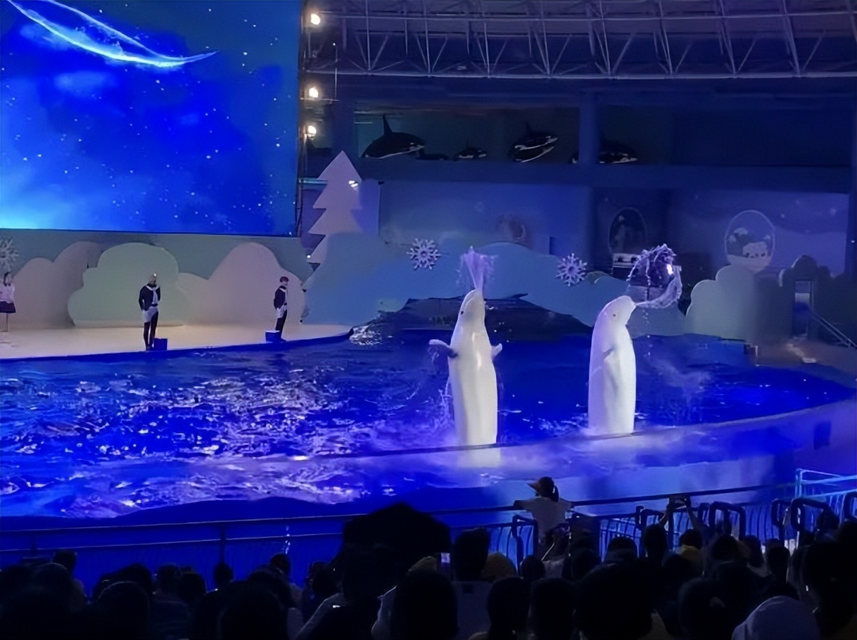 南安市总工会开展“爱心牵手·梦想启航”关爱新南安职工子女系列活动