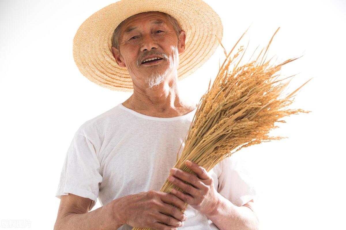 农村人如何通过农业咨询服务赚钱