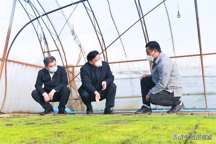 省长韩俊到长春松原两市调研时强调：推动企业有序复工复产，最大限度减小疫情对经济社会发展的影响