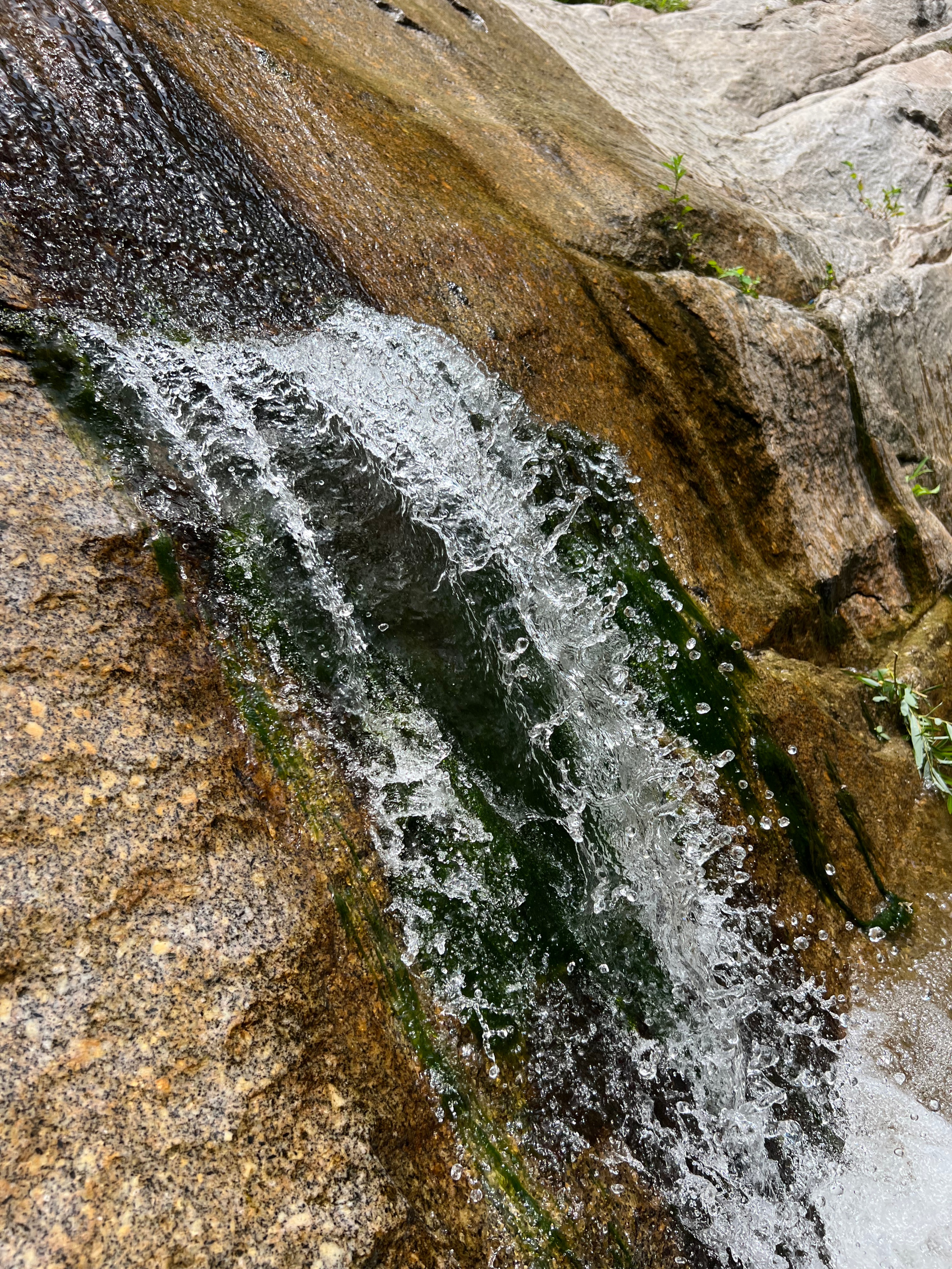 天津春天亲子徒步旅游路线推荐,天津户外徒步一日游推荐