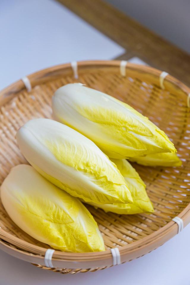 大叔摸黑种芽球菊苣，攻克芽球菊苣种植难题，一年销售额5000万元