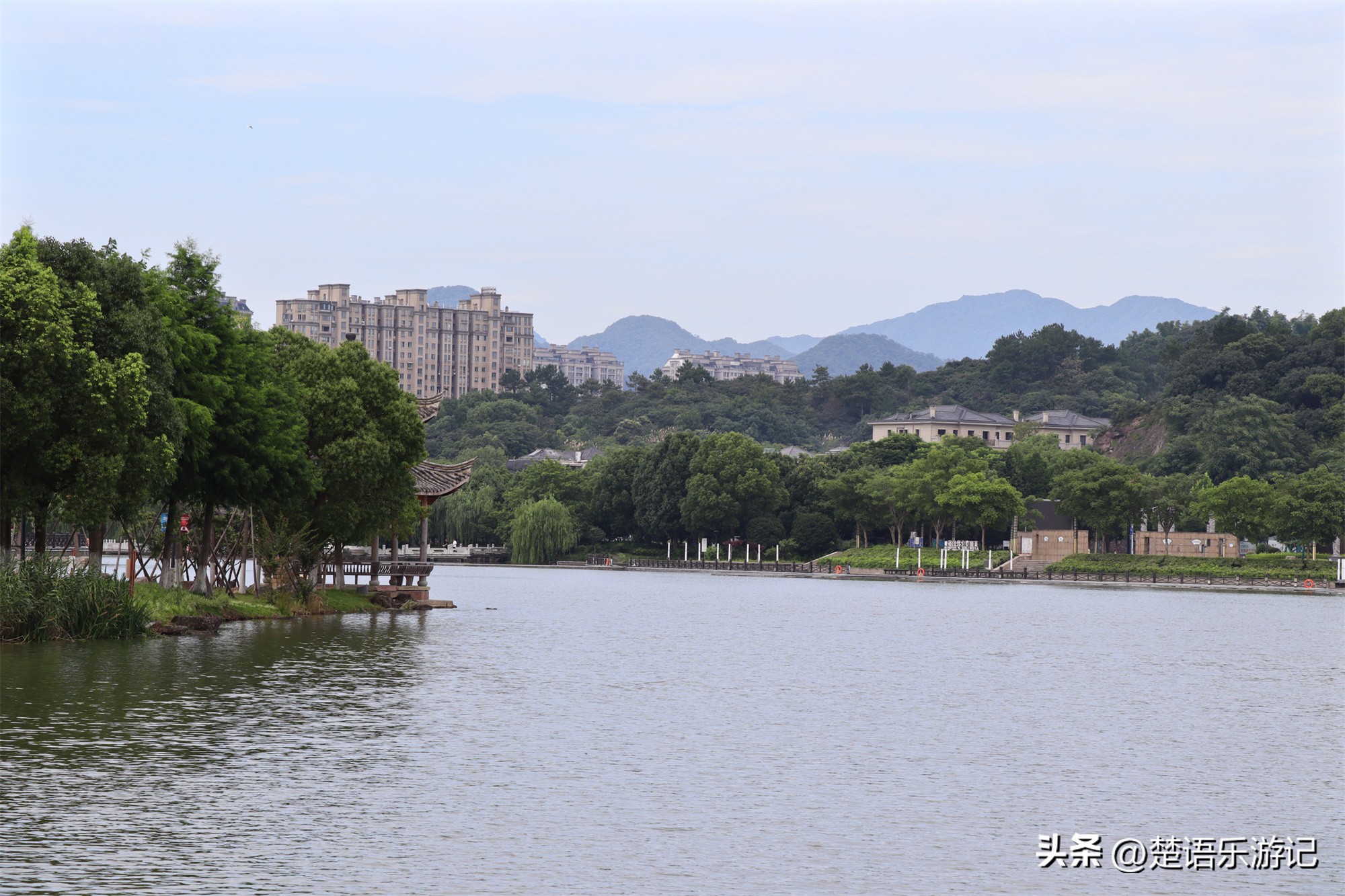 宁波附近向日葵花海在哪里,宁波向日葵花海打卡网红地