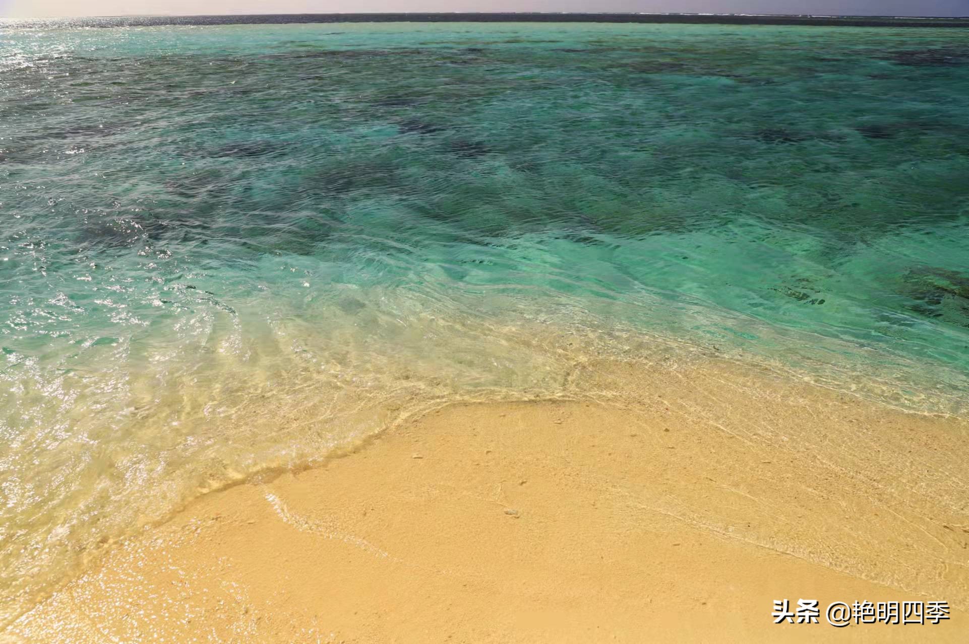 西沙群岛南海之梦游轮,西沙群岛南海之梦游轮视频