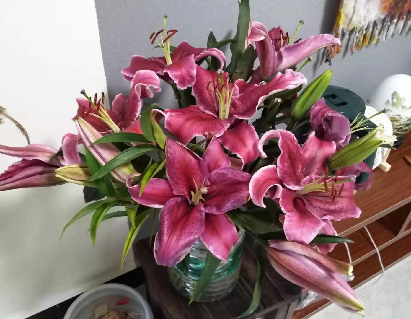 石林印象酒,石林印象大酒店