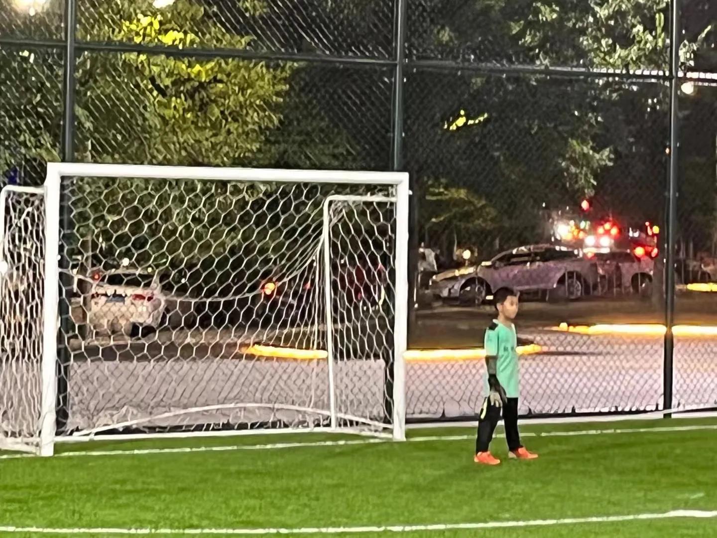 足球场内飞盘与狗图片,飞盘与足球之争