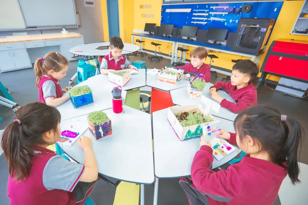 山东济南最好的国际学校排名,济南的国际学校有哪些