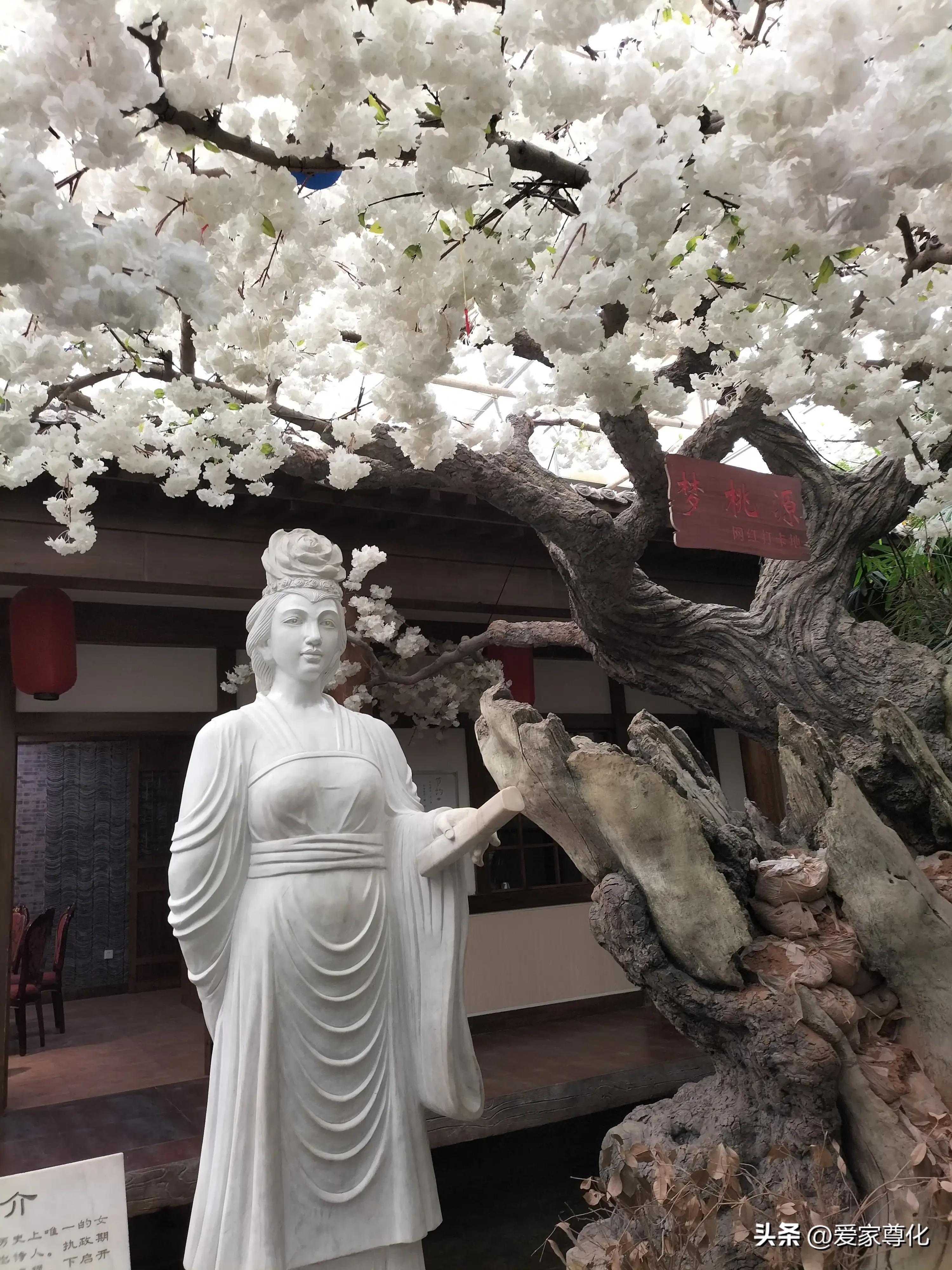 记录我的2023年旅行,记录2023年我的旅行生活