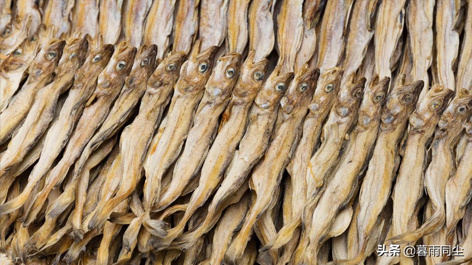 罐头压缩干粮,罐头压缩饼干救灾