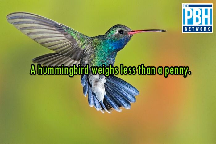 100件有趣的事,100个有趣的生活小事