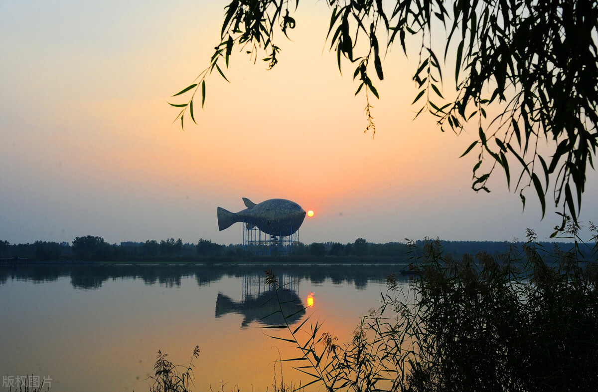 中央对扬中的规划,扬中市发展方向