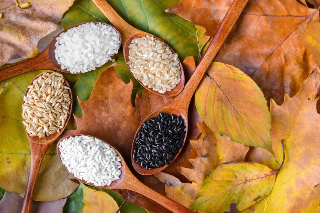 麦迪森养生视频,麦迪森滋补保健