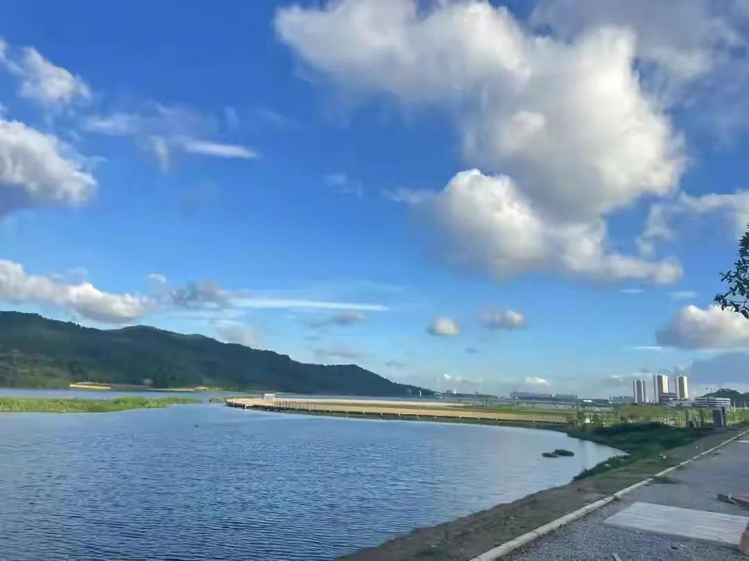 广州保利楼盘降价事件,广东楼市降价排行