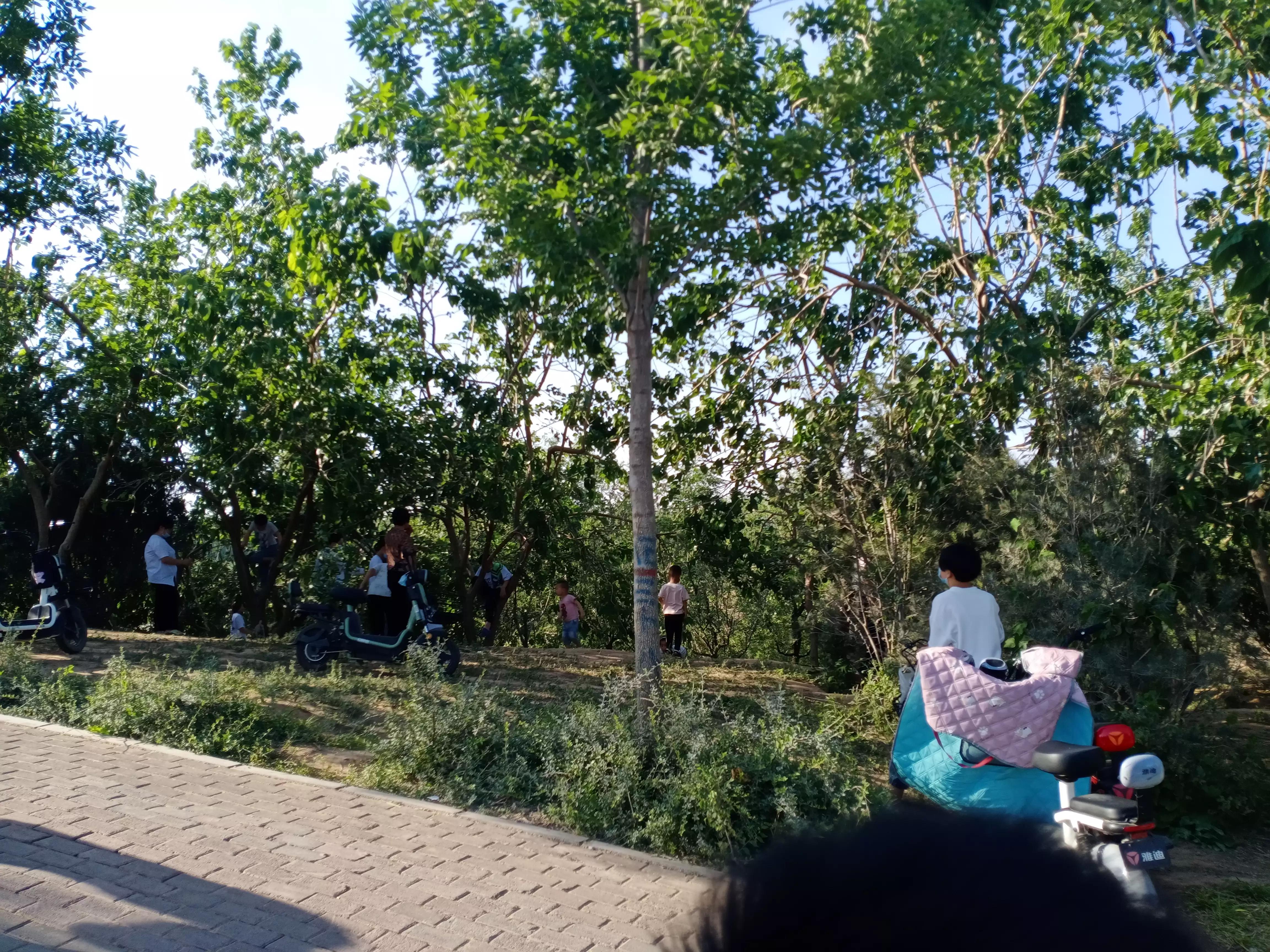 邯郸市游玩的地方有哪些,邯郸春节免费游玩好去处