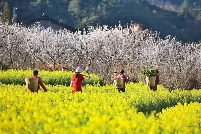 这里的秋色真美,这里的秋色绝美