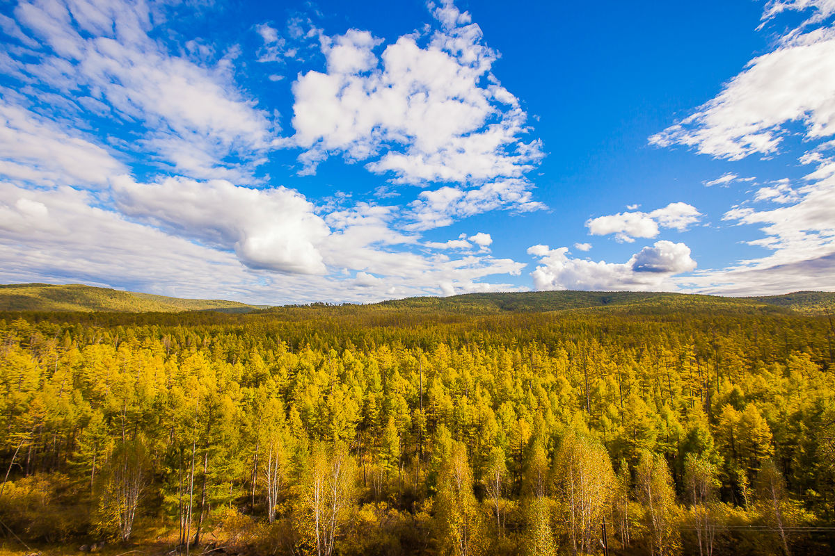 你知道内蒙古为啥不包邮吗,新疆内蒙为什么不包邮