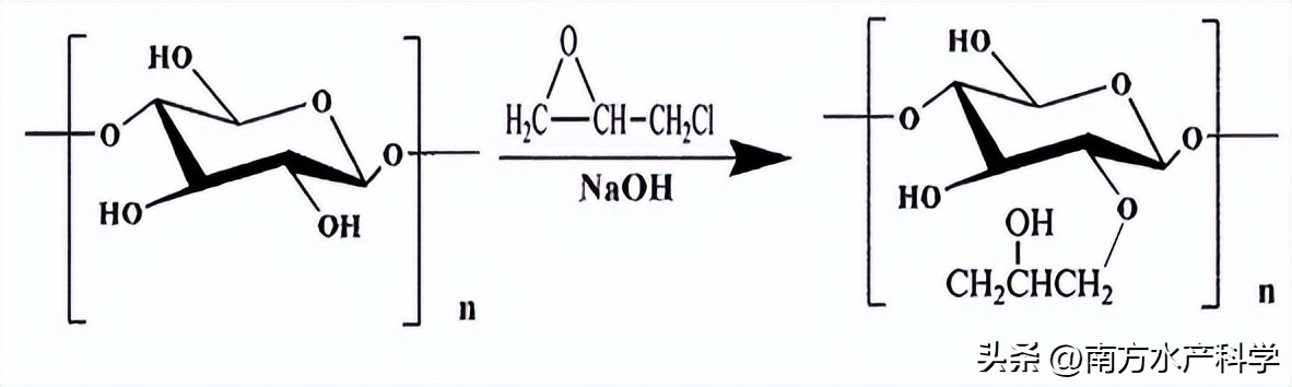 藻多糖功效,藻多糖的作用与功效