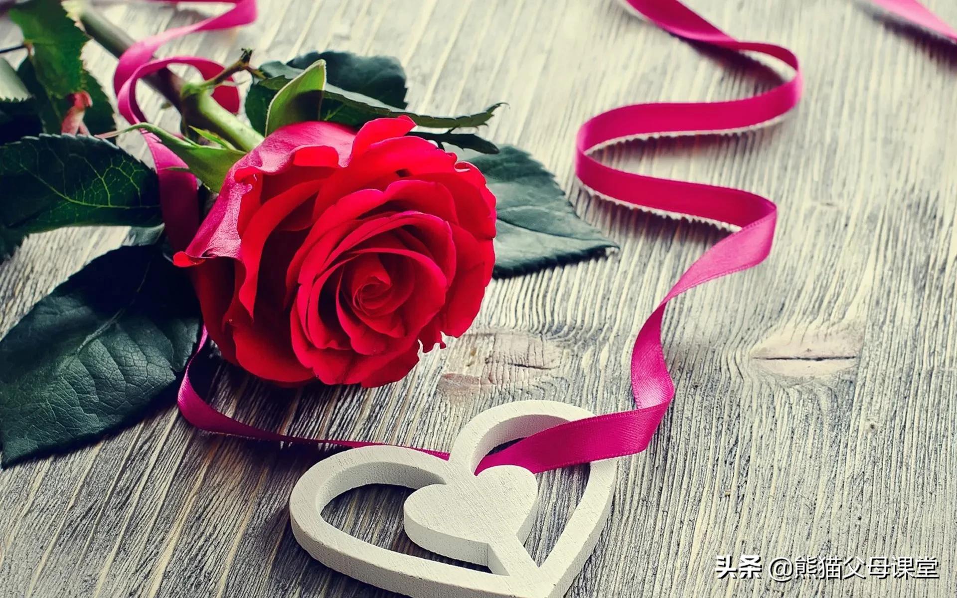 浪漫主义秒懂百科,浪漫主义诗歌的个人感悟