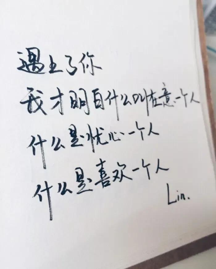 那纷纷扬扬的花瓣犹如万千飞碟，在蓝天下飞扬着翩跹的舞姿