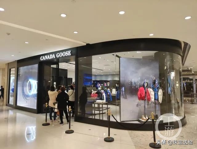 加拿大鹅双标,国际大牌lv