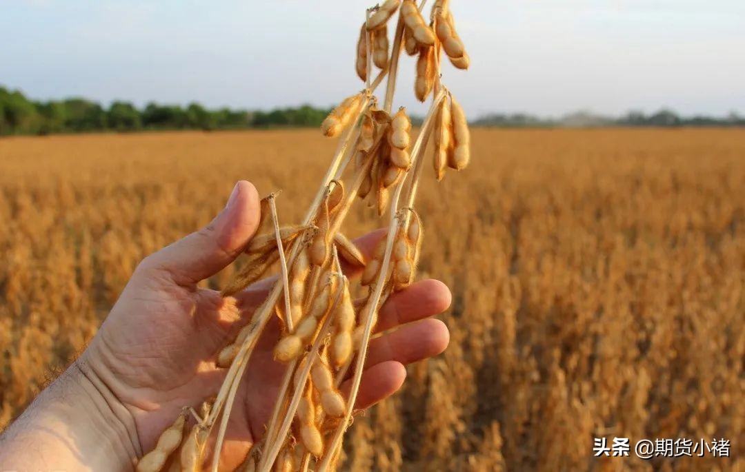 大豆下跌了吗,经济形势不好大豆会涨吗