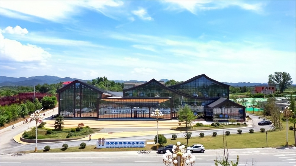 抓项目促发展专项行动推进会精神,稳增长促转型项目建设加压奋进