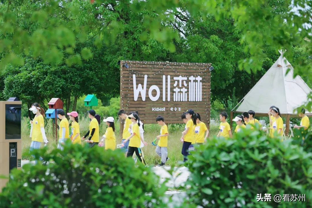 张家港市公示名单,张家港排名前十学校