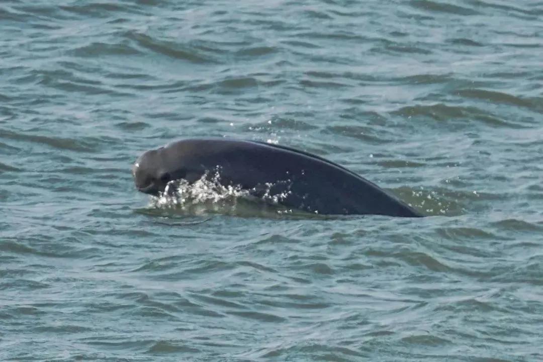 极美南京,极美南京魅力之城