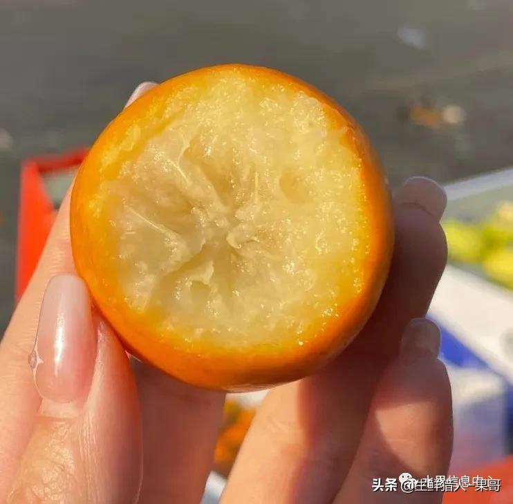 正宗广西融安脆蜜滑皮金桔,融安滑皮金桔和融安脆皮金桔区别