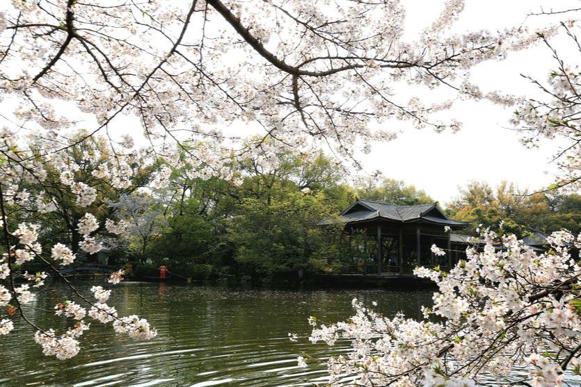 漫步西湖诗句杨万里,杨万里七绝楷书书法临摹