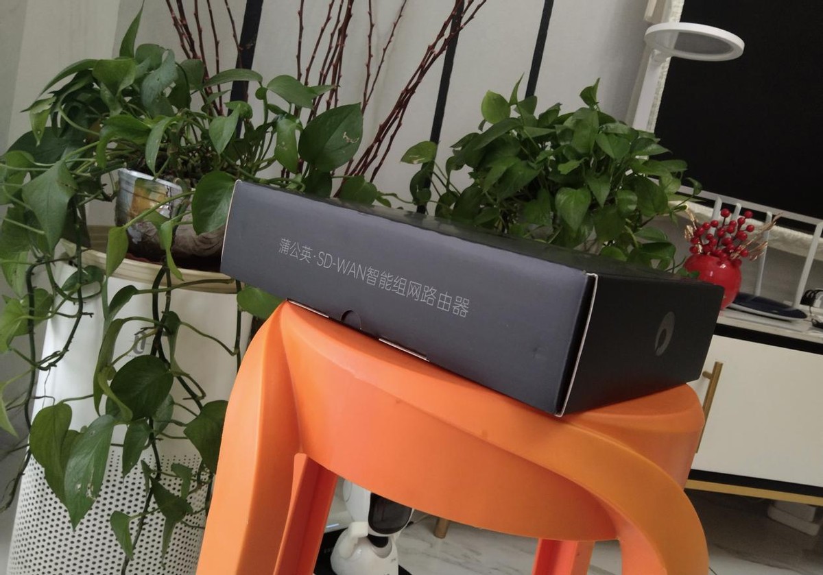 使用蒲公英x3a如何远程访问nas,插上u盘就是win系统