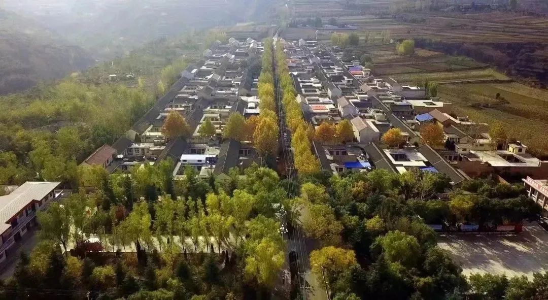 大山深处有人家！住民宿，解乡愁，游夏都~