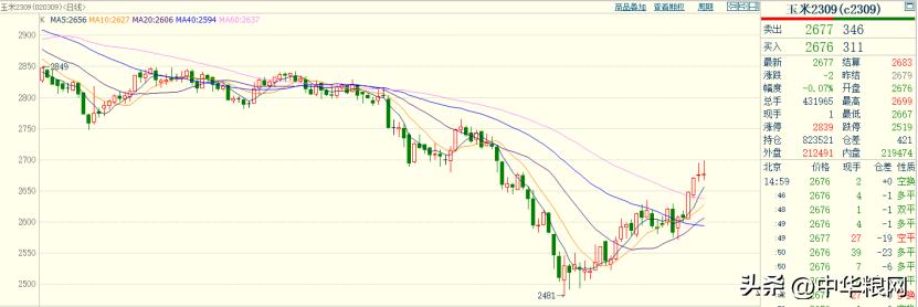 玉米期货冲高回落走势如何,玉米回落风险有多严重