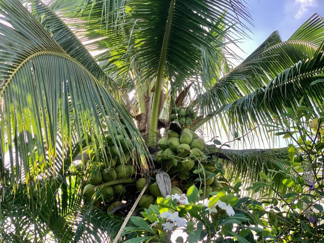 泰国购买二手房注意事项,泰国二手别墅最便宜的什么价格