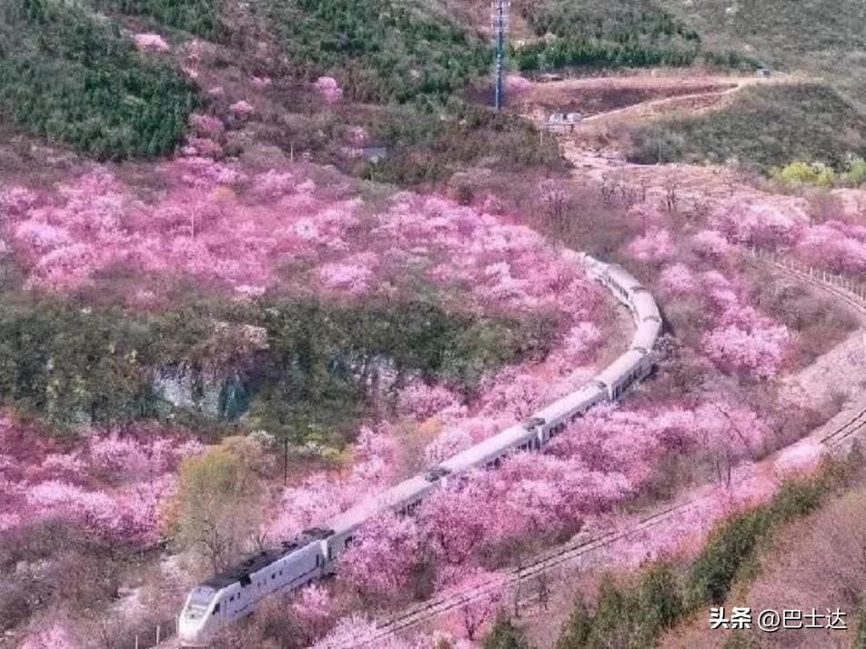 八达岭长城的历史简介是什么,长城八达岭是什么意思