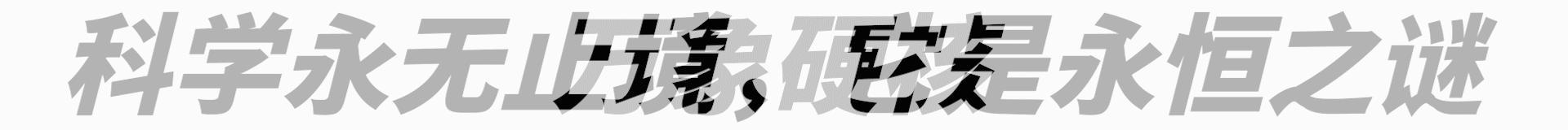 世界上最大的华丽琴鸟,天堂的使者