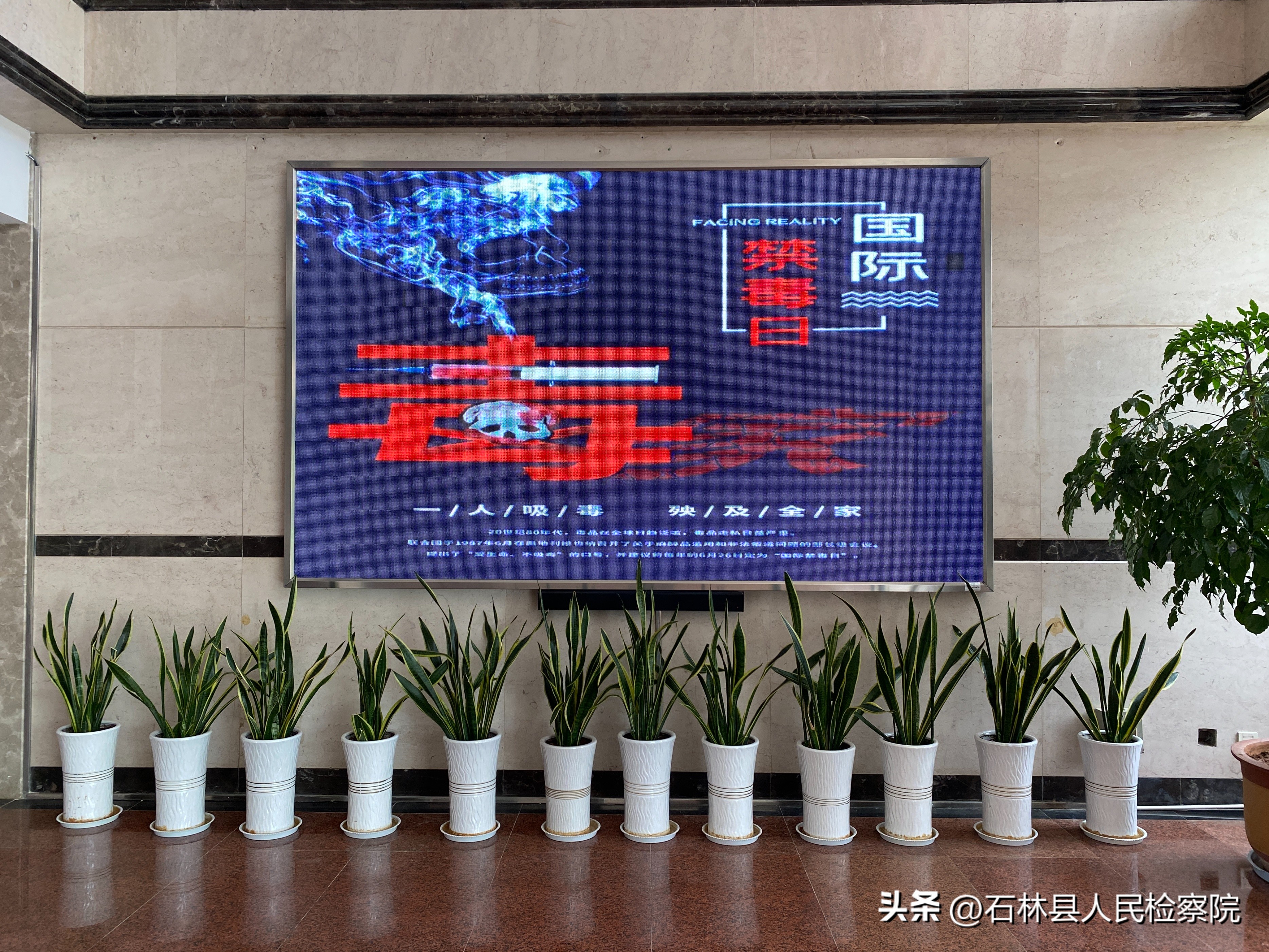 开展6.26国际禁毒日宣传教育活动,6.26世界禁毒日开展禁毒花样宣传