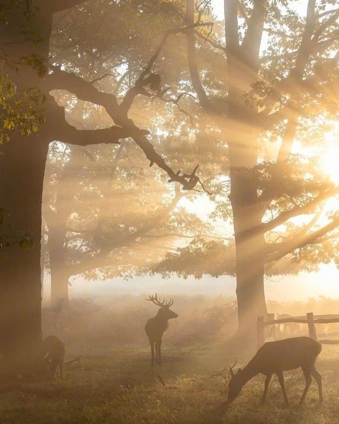 职场心理学你应该学会的说话方式,心理学谈话时眼神一直看着你