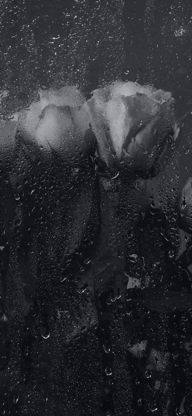 最美的光背景图片,超好看的夜晚蓝色的背景图