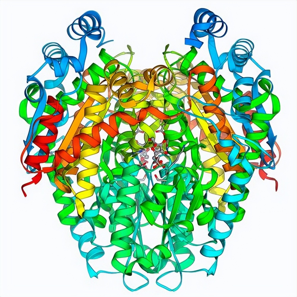 新冠感染药都买不到,新冠退热药
